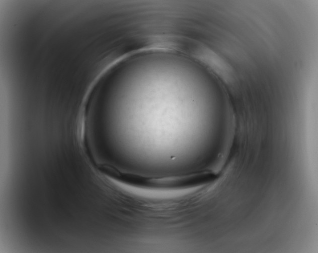 X0000092301276200709211225