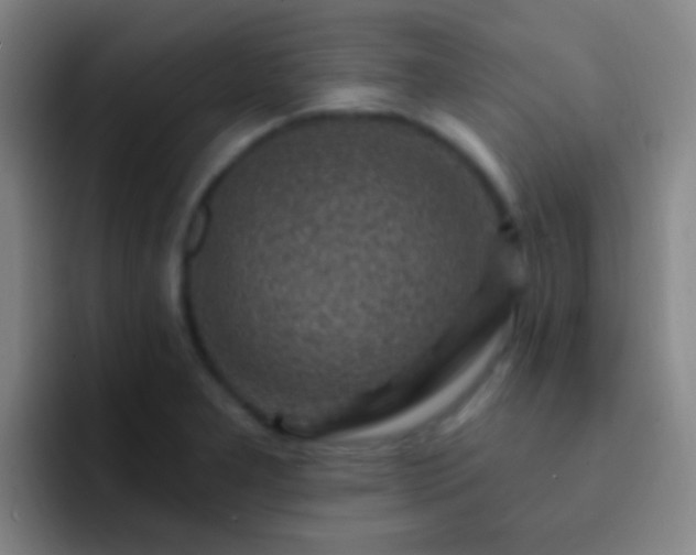 X0000092301277200709211224