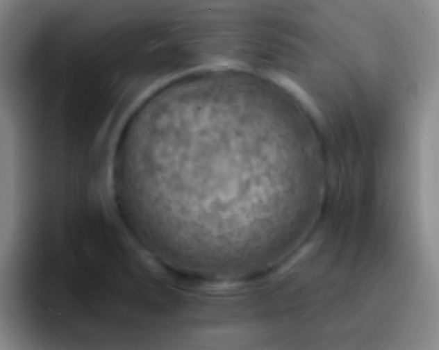 X0000092301278200709211224
