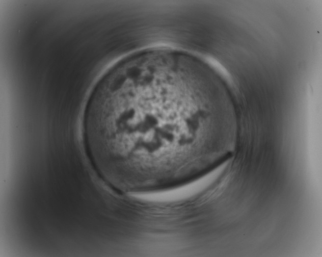 X0000092301279200709211224