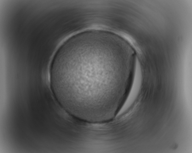X0000092301280200709211224