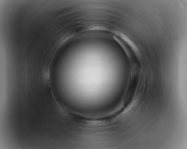 X0000092301281200709211224