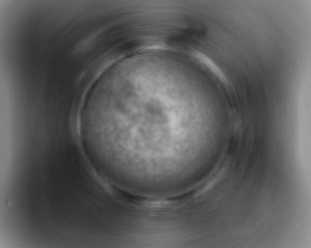 X0000092301282200709211224
