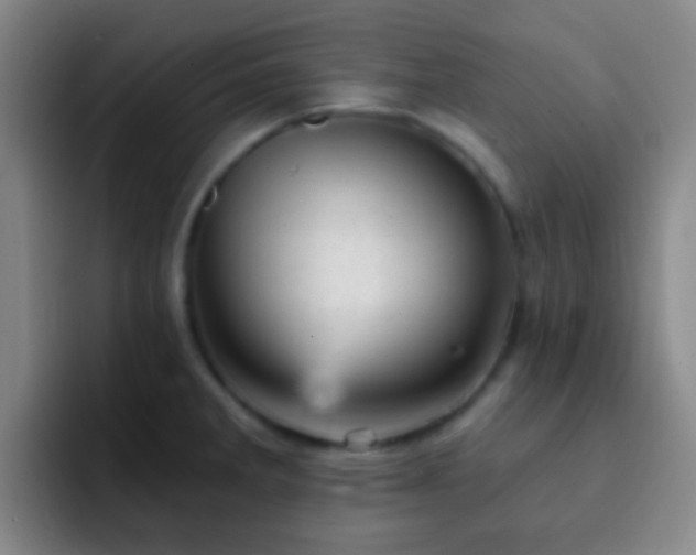 X0000092301285200709211224