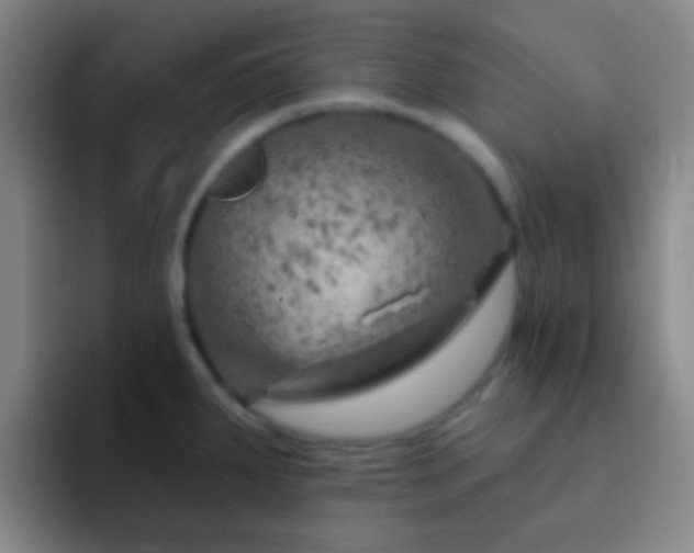 X0000092301287200709211224