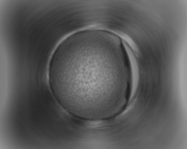 X0000092301288200709211224