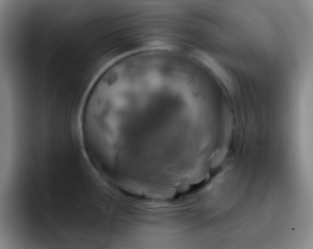 X0000092301291200709211224