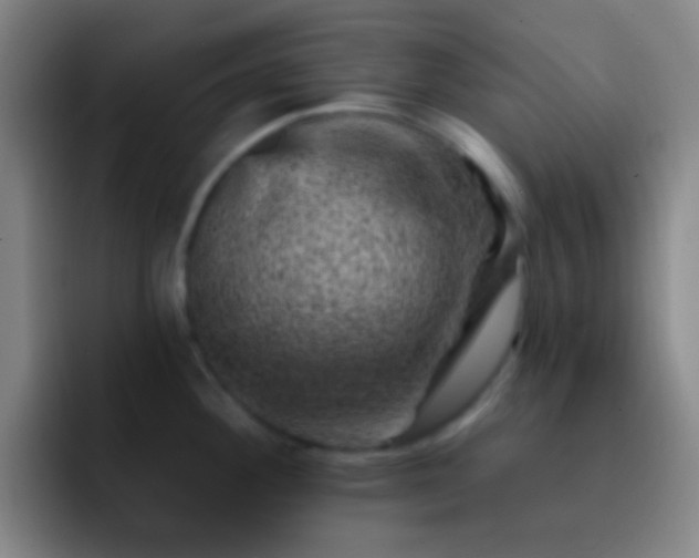 X0000092301292200709211224