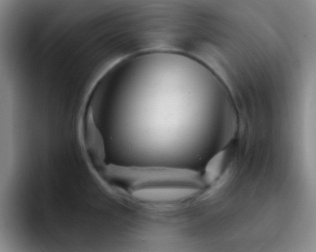 X0000092301293200709211224