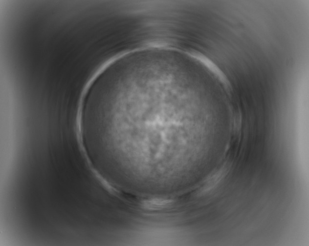 X0000092301294200709211224