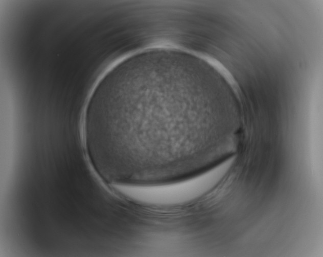 X0000092301295200709211224
