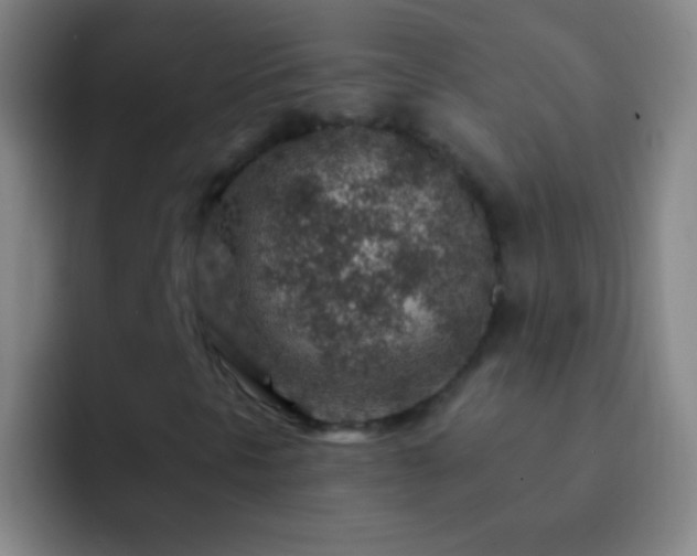 X0000092301297200709211224
