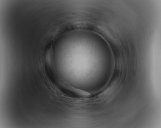 X0000092301298200709211224