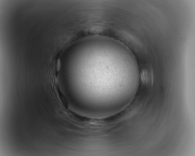 X0000092301299200709211224