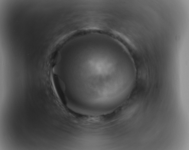 X0000092301303200709211224