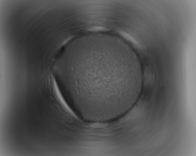 X0000092301305200709211224