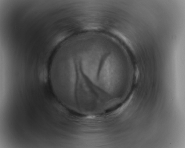 X0000092301306200709211224