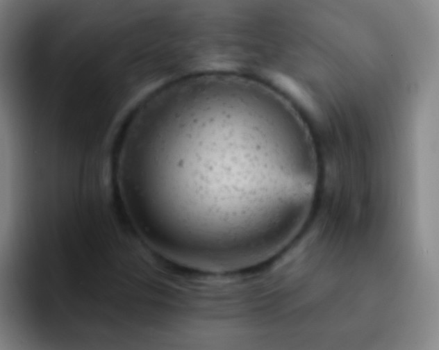 X0000092301307200709211224