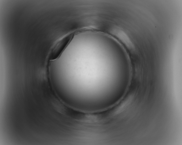 X0000092301308200709211224
