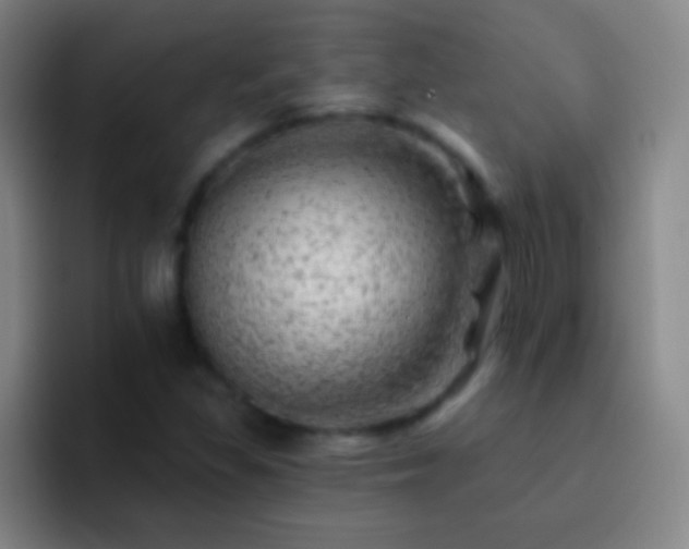 X0000092301309200709211224