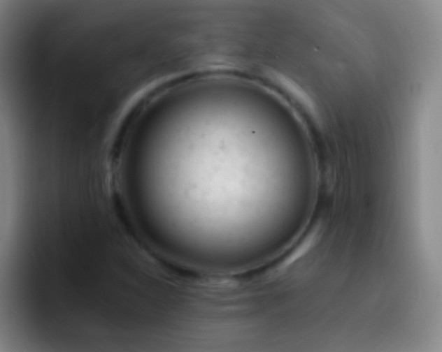 X0000092301310200709211224