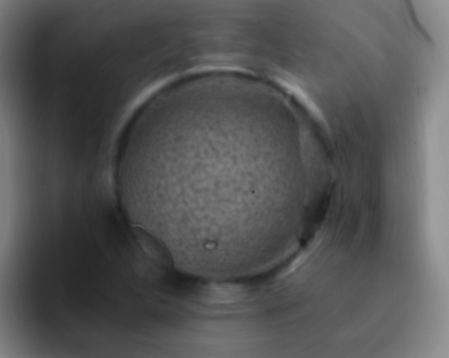 X0000092301312200709211224