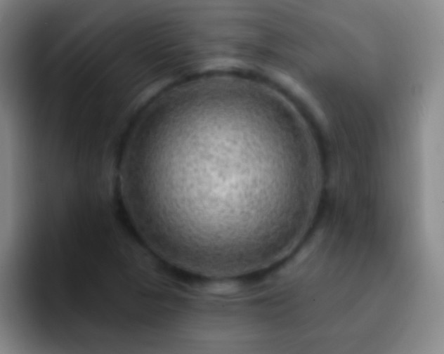 X0000092301313200709211224