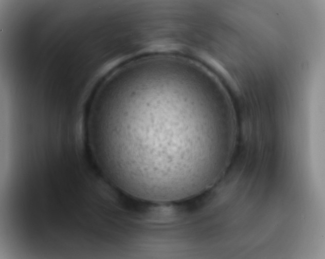 X0000092301315200709211224
