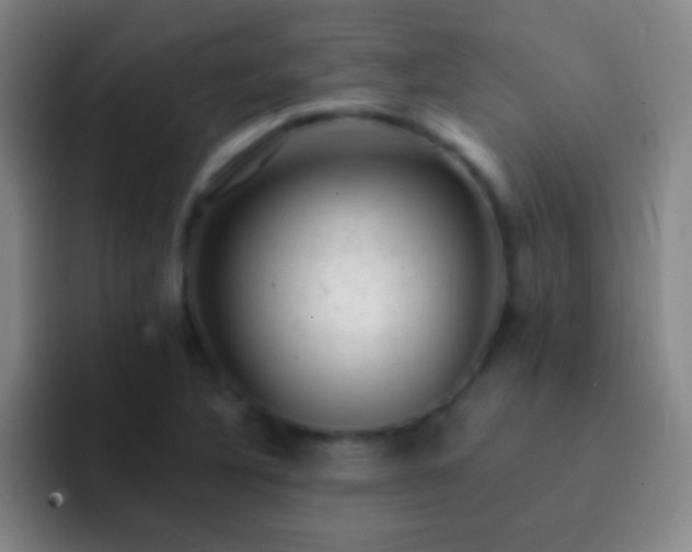 X0000092301316200709211224