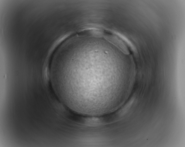 X0000092301317200709211224