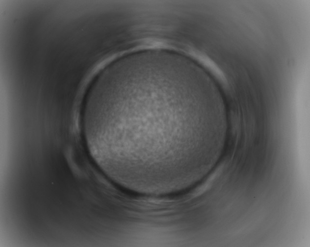 X0000092301318200709211224