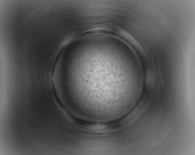 X0000092301321200709211224