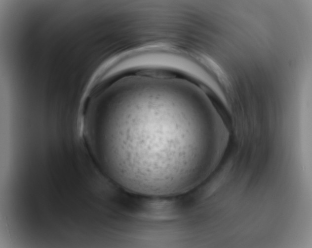 X0000092301324200709211224