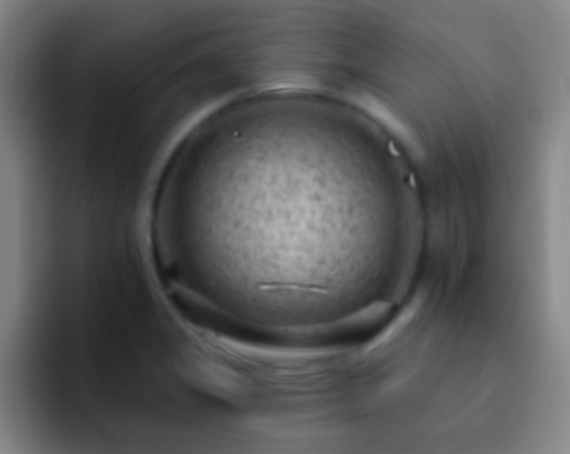 X0000092301325200709211224