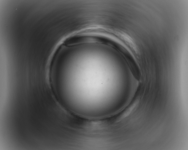 X0000092301326200709211224