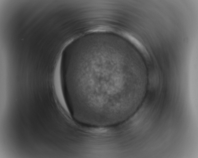 X0000092301329200709211224