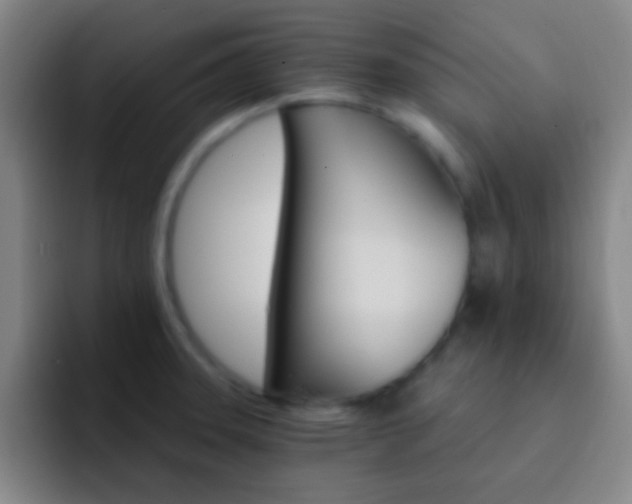 X0000092301331200709211224