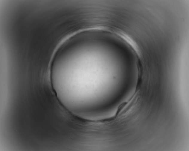 X0000092301332200709211224