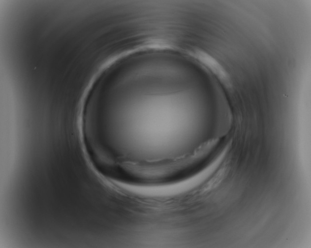 X0000092301334200709211224