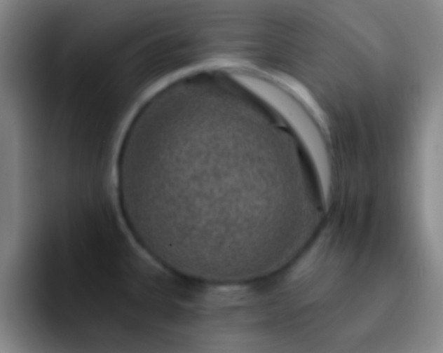 X0000092301335200709211224