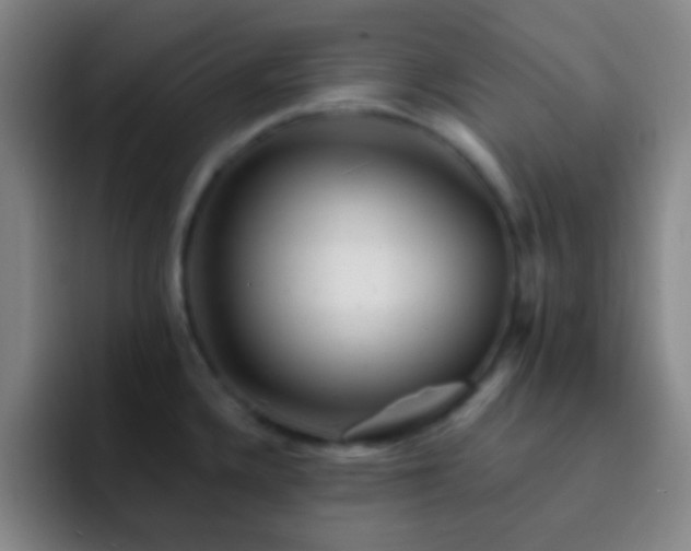 X0000092301336200709211224