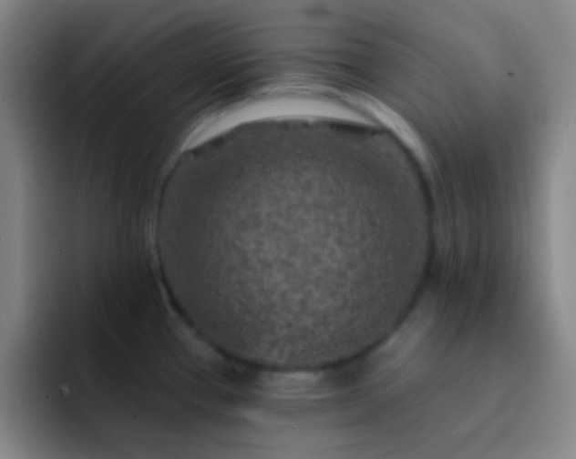 X0000092301337200709211224