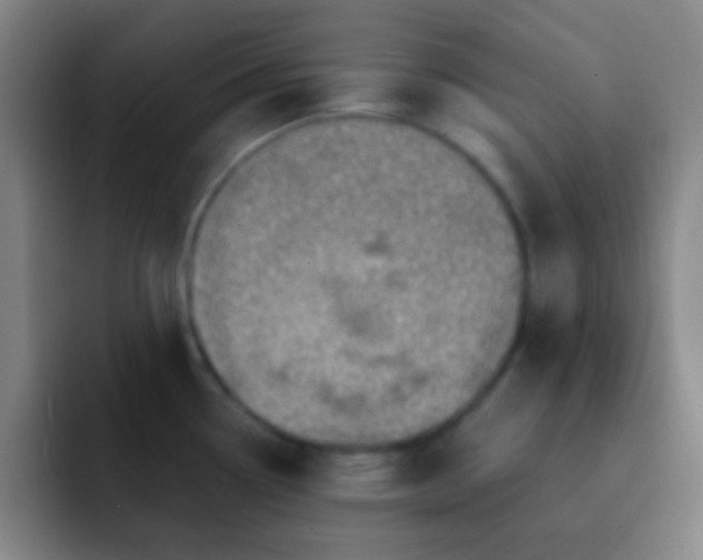 X0000092301338200709211224