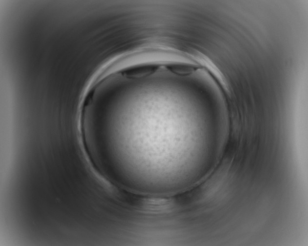 X0000092301339200709211224