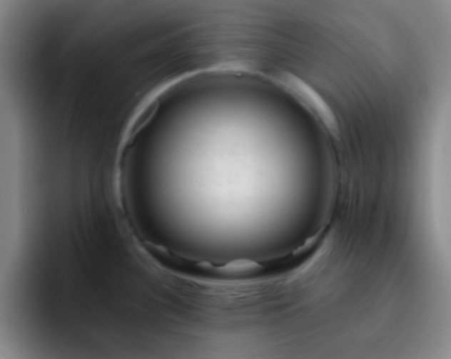 X0000092301340200709211224