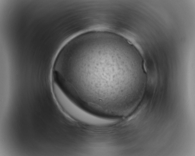 X0000092301343200709211224