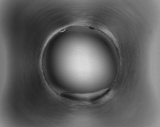 X0000092301344200709211224