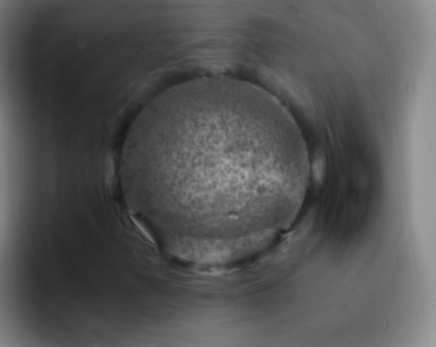 X0000092301347200709211224