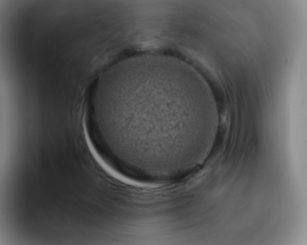 X0000092301348200709211224