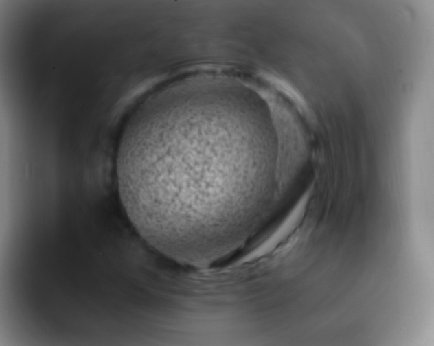 X0000092301352200709211224